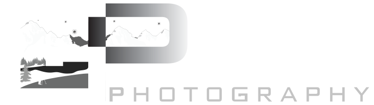 Goldpaint Photography Logo